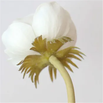 Dirbtinis Anemone Modeliavimas Anemone Dirbtinių Gėlių Dekoracijos 