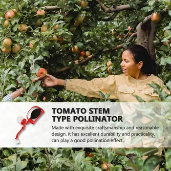 Pomidorų Apdulkintojų Persikų Medis Kiwi Augalų, Vaisių Ir Gėlių Mašina, Pomidorų Stiebo Tipas Žiedų Apdulkintojų Agronomijos Sodinimo Įrankiai
