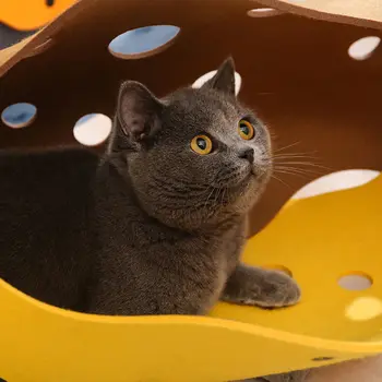 Naujas 2021 Patogus Funny Cat Lova Augintiniai Urvas Medžio Skylė Pet Tunelio 3 Spalvų Nuimamas Lovos ir Namų Plaunamas Veltinis Namas Katė