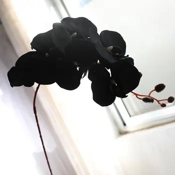 3Pcs Dirbtinių Gėlių Juodas Drugelis Orchidėja Šilko Phalaenopsis Vestuvės, Kalėdos, Namų Dekoravimo, Sodo Vazoninių Netikrą Augalai