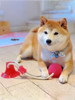 Šuo Interaktyvus siurbtukas Stumti TPR Ball Žaislas Molinis Bite Žaislas Elastiniai Lynai Šunų Dantų Valymo Kramtomoji Žaisti naminių Gyvūnėlių Šuniuką Prekes