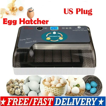 Naujausias Ūkių Perykla Inkubatorius Brooder Mašina 4-35 Kiaušinių Peryklose Pigiai Vištienos Automatinė Kiaušinių Inkubatorius Paukščių Putpelių Brooder