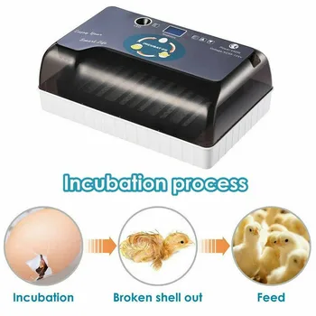 Naujausias Ūkių Perykla Inkubatorius Brooder Mašina 4-35 Kiaušinių Peryklose Pigiai Vištienos Automatinė Kiaušinių Inkubatorius Paukščių Putpelių Brooder