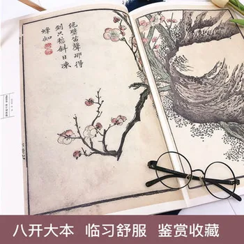 Jie Zhi Hua Yuan Zhuan Tradicinės Kinų Garstyčių Sėklos, Sodo Tapybos, Piešimo Meno Knygos Gėlių Paukščių Slyvų orchidėja bambuko