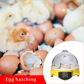 7 Kiaušinių Inkubatorius Namų Mažas, Automatinis Inkubatorius Atskirti Kiaušinių Dėklas Smart Mini Inkubatorius Inkubavimo Įranga