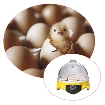 7 Kiaušinių Inkubatorius Namų Mažas, Automatinis Inkubatorius Atskirti Kiaušinių Dėklas Smart Mini Inkubatorius Inkubavimo Įranga