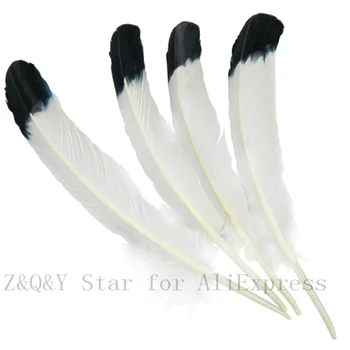 10-20 gamtos 25-30 CM (10-12 cm) turkija lizdą miško dažytos balta tamsintas juoda galva plunksnų 