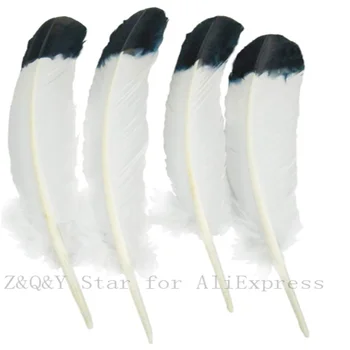 10-20 gamtos 25-30 CM (10-12 cm) turkija lizdą miško dažytos balta tamsintas juoda galva plunksnų 