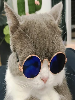2021 Puikus Cute Kačių, Šunų Akinius Pet Mados Apdailos Aksesuaras Akis dėvėti Saugos Akiniai nuo saulės Nuotraukas Naminių Reikmenys