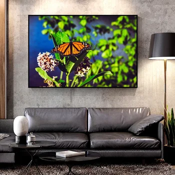 Artcozy Aliejus, Drobė, Tapyba monarch_butterfly_butterfly_bright Namų Apdailos Sienos Menas