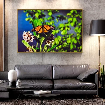 Artcozy Aliejus, Drobė, Tapyba monarch_butterfly_butterfly_bright Namų Apdailos Sienos Menas