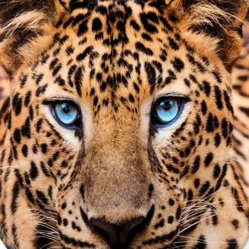 3 Dalių Rinkinys Leopardas Spausdinti Neslidus Vonios Kambarys, Tualetas Pjedestalo Kilimas Grindų Kilimėlis Tualeto Dangčio Padengti Vandeniui Grindų Kilimėlis Vonios Kambarys Dekoro