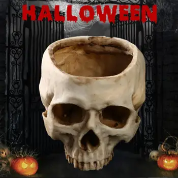 Derva Amatų Žmogaus Dantis Kaukolė Iškastinio Mokymo Skeleto Modelis Helovinas Home Office Vazonas Sodinamoji Kaukolė Puodą Apdailos Naujas