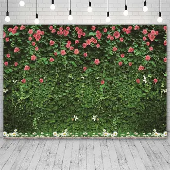 Žali Lapai Sienos Fonas Fotografija, Gamta Tematikos Žolės Fono Paveikslėlį Pavasario Laukui Teminius Gimtadienio Dekoras