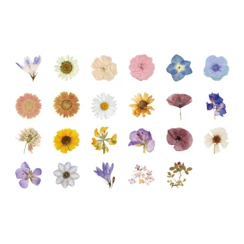 46pcs/pak Gėlių Savarankiškai Mažus Dienoraštis Mini Mielas Kūrybos Šviežių Lipdukai Rankomis dekoruoti Lipdukai Scrapbooking