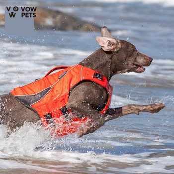 Vasaros Plaukimo Šunų Drabužius Už Didžiulį Teddy šunelis Jūsų auksaspalvis Retriveris maudymosi kostiumėlį Šuns Gyvenimo Striukė VEDYBOS Augintiniai 2021 Naujas