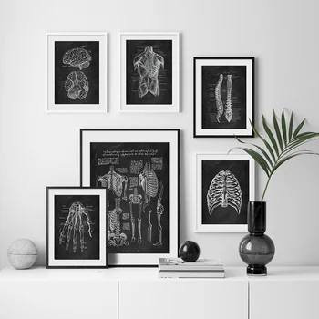 Drobė, Tapyba Black Žmogaus Anatomija Iliustracijų, Plakatų Medicinos Raumenų Skeletas Nuotrauką Spausdinti Švietimo Ligoninės, Klinikos Sienų Dekoras