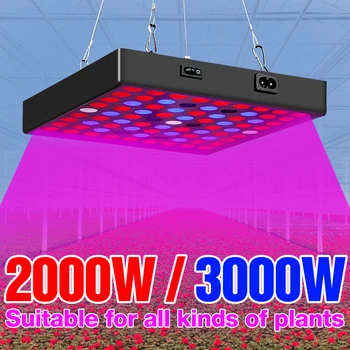 2000W 3000W LED Grow Lempa 110V Visą Spektrą Augalų 220V Fito Šviesos Hydroponic Lemputė JAV, ES, UK Šiltnamio efektą sukeliančių Phytolamp Augimo Palapinę Lauke