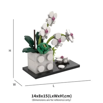 LIEHUO PLYTAS Baltas phalaenopsis gėlių, Augalų blokai kūrėjas Suaugusiųjų kūrimo bloką, žaislai