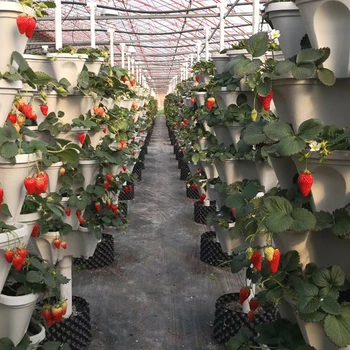 Plastikiniai Vienas Vertikalus Stereoskopinis Gėlių, Augalų Puodą Braškių Daigų Turėtojas Sodo Sodinamoji Gėlių, Daržovių Apdaila