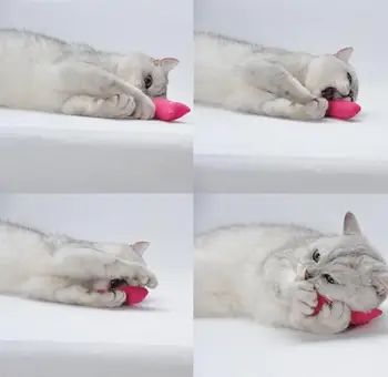 5vnt Katė Šlifavimo Katžolių Žaislai Interaktyvus Pliušinis Katė Žaislas Augintiniui Kačiukas Kramtyti Žaislas Kojos Nykščio Bite Gatos Mėtų Katėms Dantis Žaislai