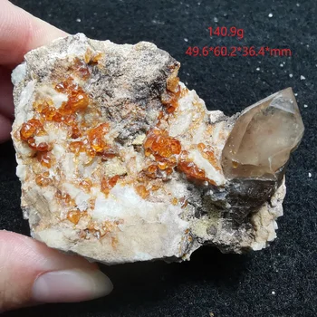 Natūralus granatas mineralinių pavyzdys akmens apdaila kristalų gijimas energijos geologijos mokymo kolekcijos papuošalai
