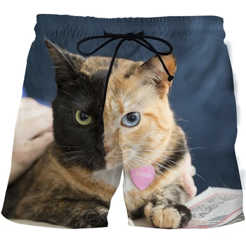 2021 naujų gyvūnų katė vyriški šortai harajuku mados spausdinti vyras maudymosi kostiumėlį, laisvalaikio šortai vyrų moterų paplūdimio trumpas kelnes plaukti šortai