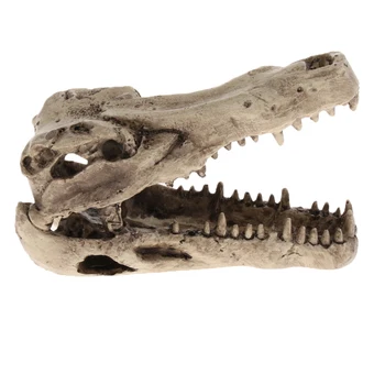 Dinozaurų Kaukolės Formos Akvariumas Ornamentu Žuvų Bako Apdaila