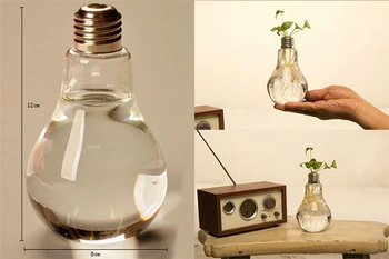 Kūrybos Lemputės, Skaidraus Stiklo Vaza Šiuolaikinės Mados Hydroponic Gėlių Vaza Vaza Apdaila