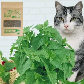 Nauja organinės natūralūs aukštos kokybės katžolių galvijų žolės, 10 g mėtų skonio smagu plaukų kamuolys katė prekes