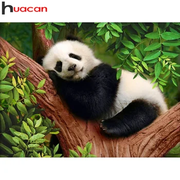 Huacan kvadratiniu/apvalus Deimantas Tapybos Panda 