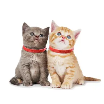 3 Vnt Raudona Reguliuojamas Naminių Kačių Stabdžių Blusų Erkės Erkių Antkaklį Ištaisyti Kačių Antkaklis Naminių Reikmenys
