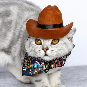 Juokingas Naminių Kačių Vakarų Kaubojaus Skrybėlę Mados Kačiukas Foto Prop Namų Augintinių Katės Festivalis Šalis Dress Up Prekes