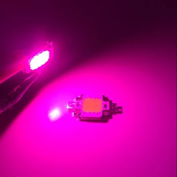 2 PCSHigh Power LED Chip 10W COB 380Nm-840Nm Visą Spektrą 10 Vatų Augti Šviesos Augalų, Gėlių, Daržovių Augimo Sode lemputė
