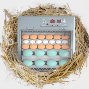 Kiaušinių Inkubatorius Automatinis Skaitmeninis Led Posūkio Kiaušinių Naminių Paukščių Visiškai Automatinis Kiaušinių Inkubatorius Buitinių Prekybos Perinti Skirtais Mašina