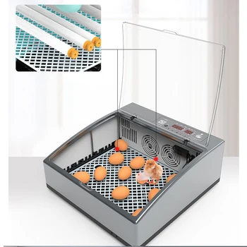 Kiaušinių Inkubatorius Automatinis Skaitmeninis Led Posūkio Kiaušinių Naminių Paukščių Visiškai Automatinis Kiaušinių Inkubatorius Buitinių Prekybos Perinti Skirtais Mašina