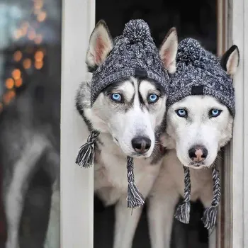 Šilta Ir Vėjo Pet Skrybėlę Mažųjų Ir Vidutinių Šunų Skrybėlę Prancūzų Buldogas Lauko Vilnonių Šunų Priedai Žiemos Skrybėlę Bžūp Kalėdų