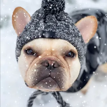 Šilta Ir Vėjo Pet Skrybėlę Mažųjų Ir Vidutinių Šunų Skrybėlę Prancūzų Buldogas Lauko Vilnonių Šunų Priedai Žiemos Skrybėlę Bžūp Kalėdų