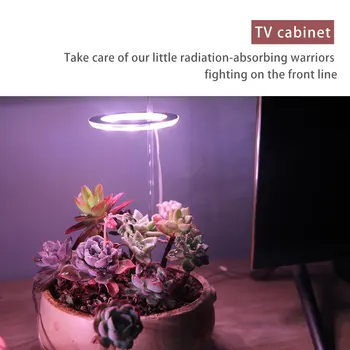 Augti Šviesos Fito Augti Lempa viso Spektro LED USB Phytolamp Kambarinių Augalų Augalų 5V Lempos Skatinti Augalų Augimą Apšvietimas