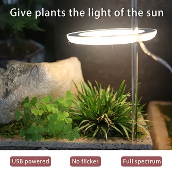 Augti Šviesos Fito Augti Lempa viso Spektro LED USB Phytolamp Kambarinių Augalų Augalų 5V Lempos Skatinti Augalų Augimą Apšvietimas
